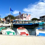 barques electriques face aux coches d'eau