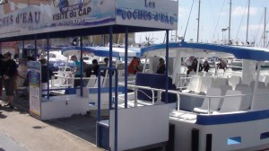 les coches d’eau sont fondus dans le paysage du Cap d’Agde 